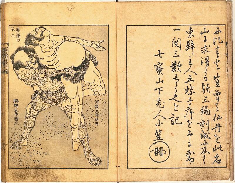 葛飾北斎　「富獄百景」八ヶ嶽の不二 冨嶽三十六景 神奈川沖浪裏 | 葛飾北斎 | 収蔵品詳細 | 作品を