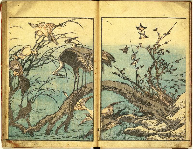 北斎画譜中編(草双紙絵本）落丁無し、葛飾北斎画 （Yahoo