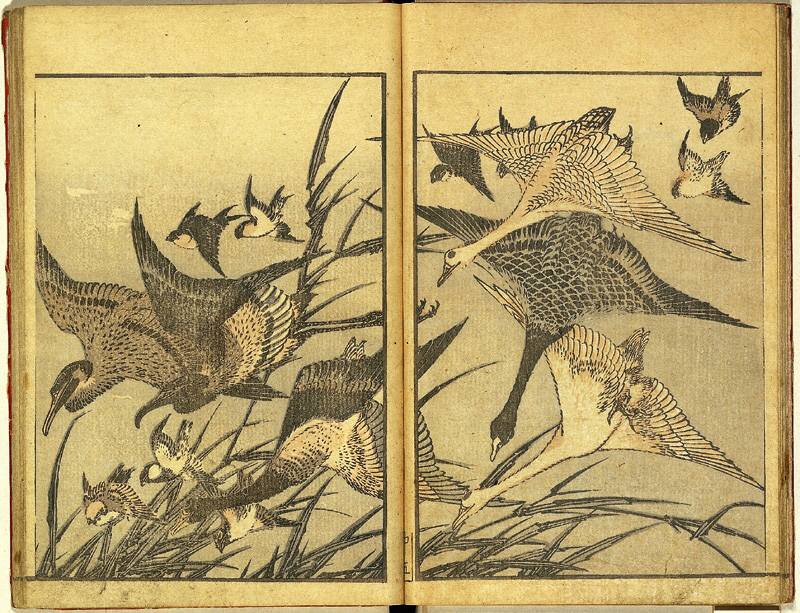 葛飾北斎 北斎画譜 中編