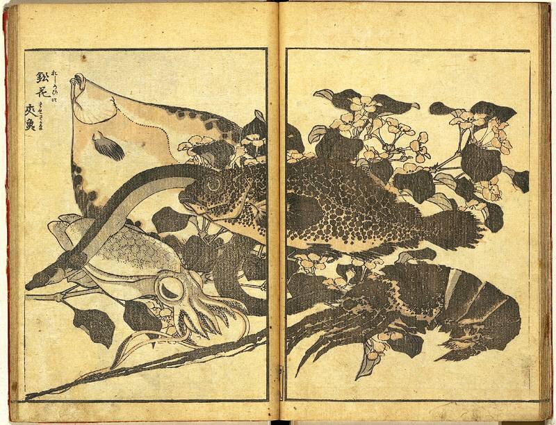 葛飾北斎 北斎画譜 中編